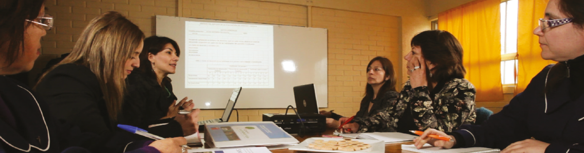 Liderazgo Directivo para un Acompañamiento al Aula Efectivo.