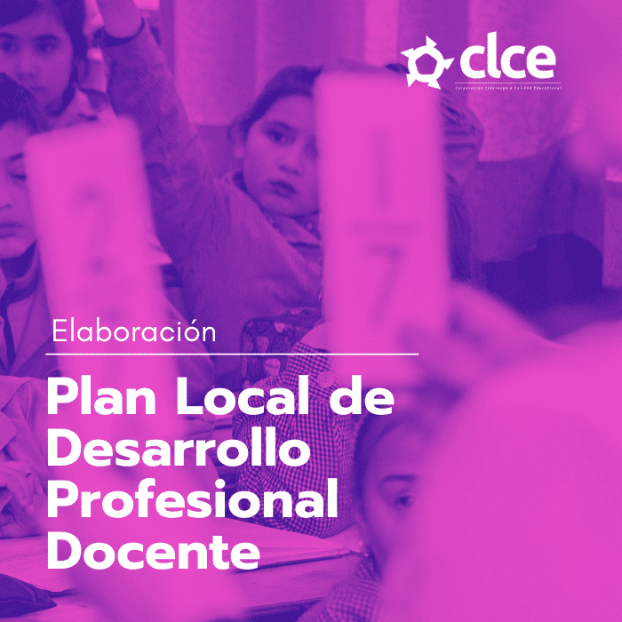 04_Plan Local de desarrollo profesional docente